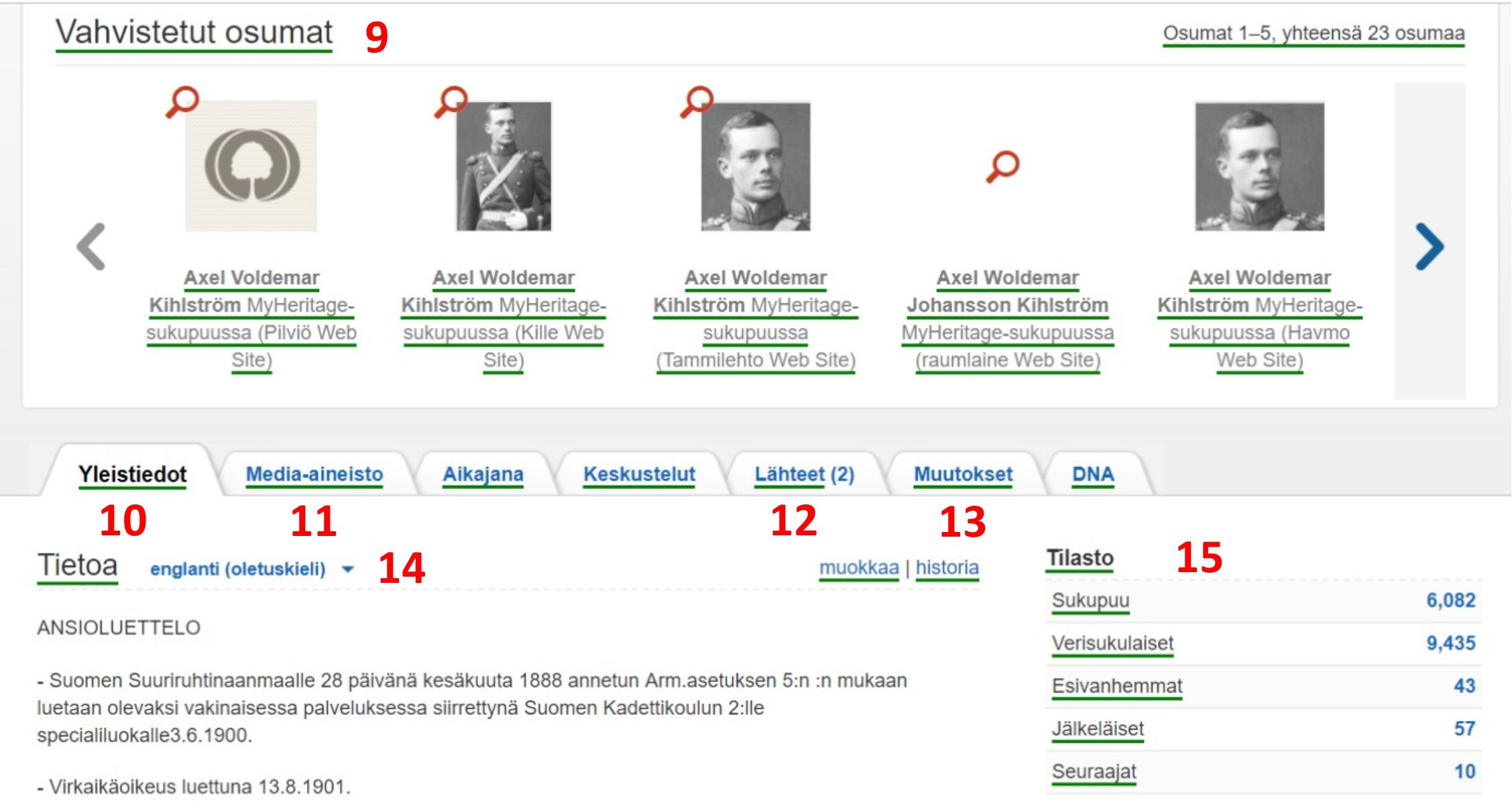 Kuva 6. Profiilinäkymä